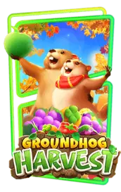 groundhog